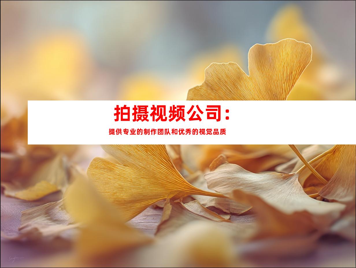  拍摄视频公司：提供专业的制作团队和优秀的视觉品质