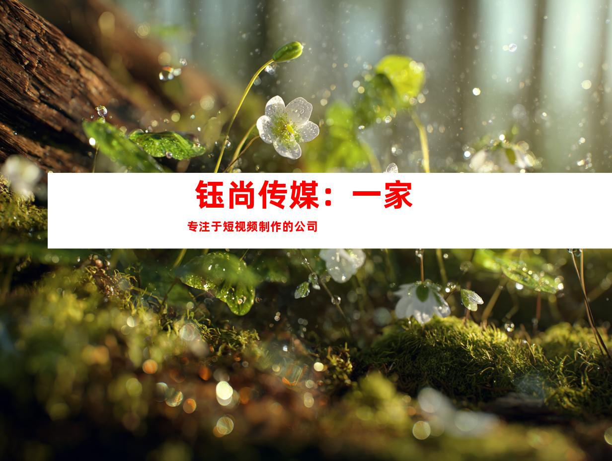  钰尚传媒：一家专注于短视频制作的公司