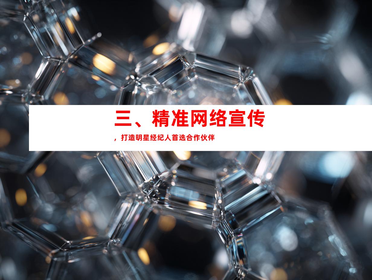 三、精准网络宣传，打造明星经纪人首选合作伙伴