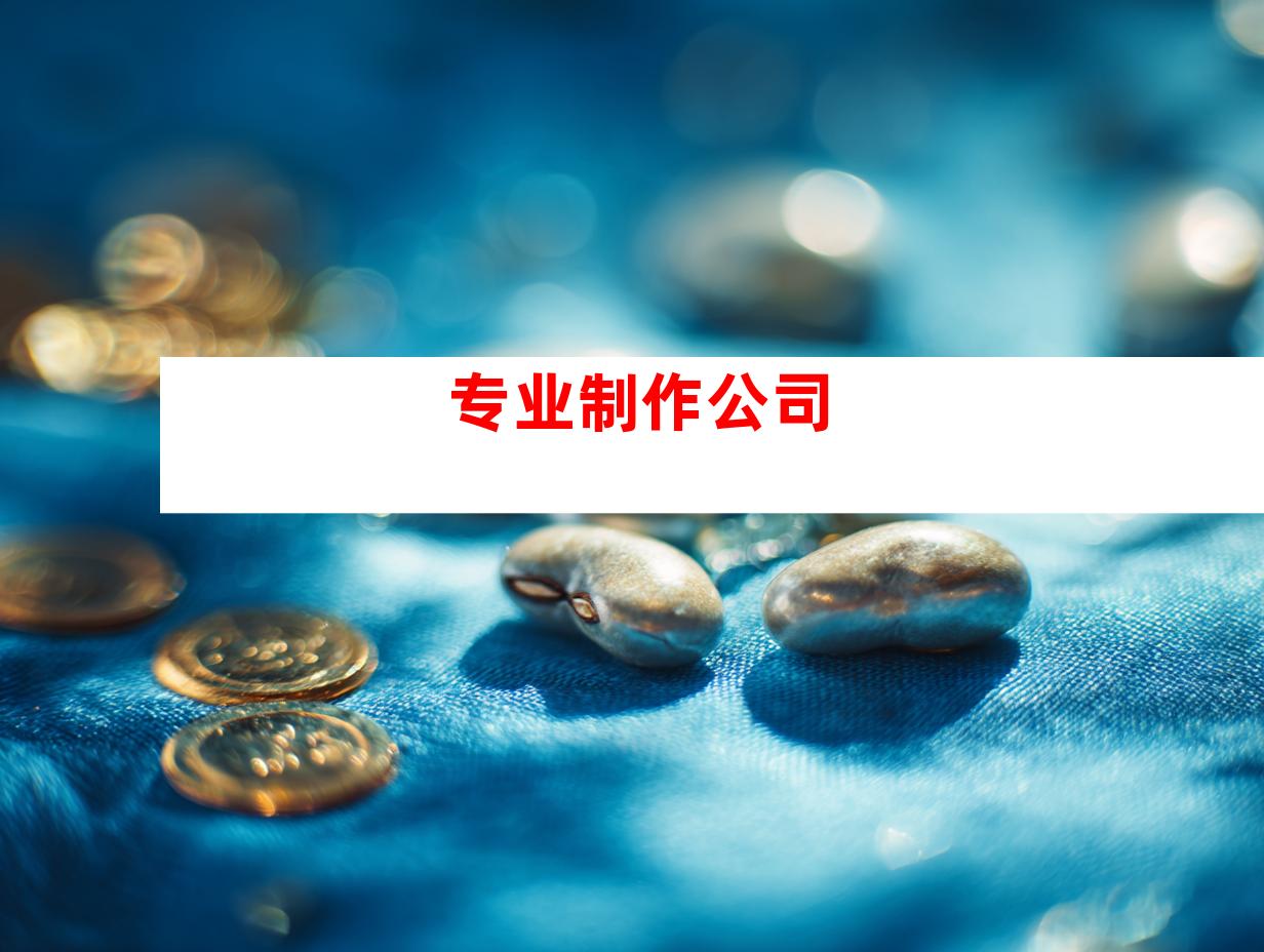 专业制作公司