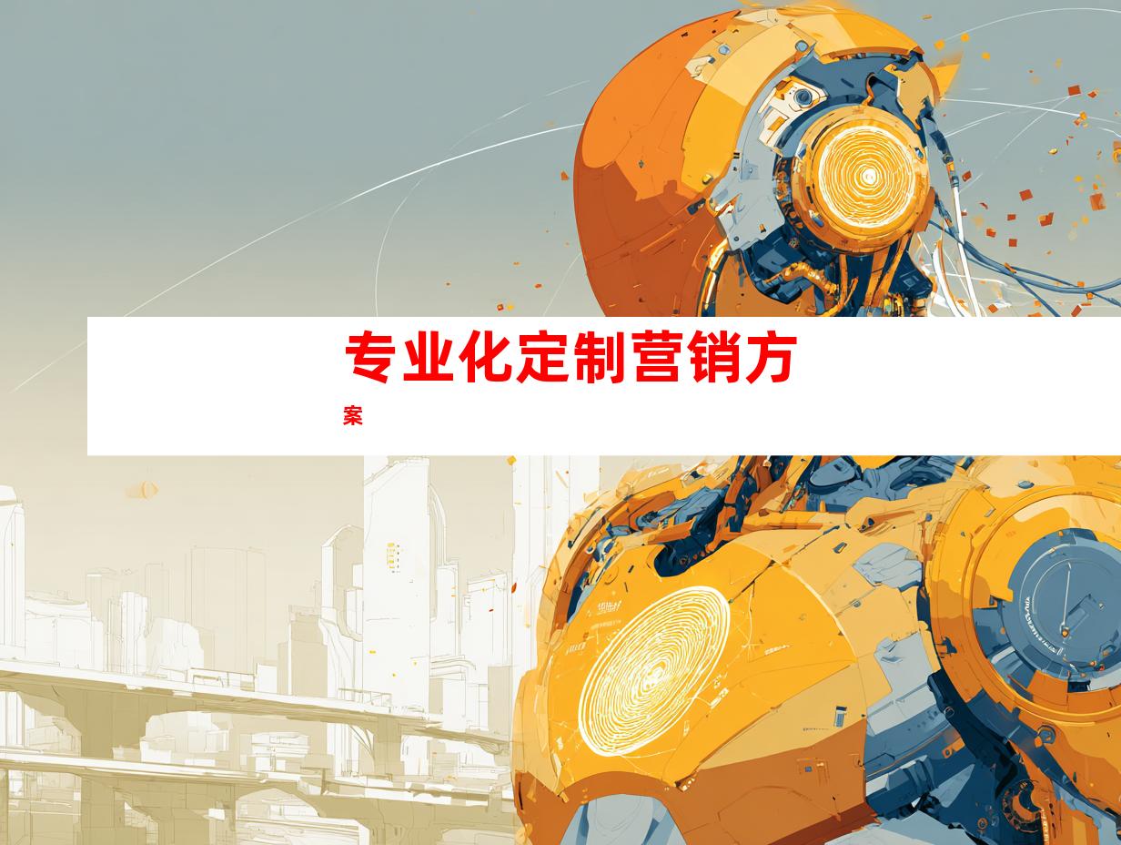 专业化定制营销方案