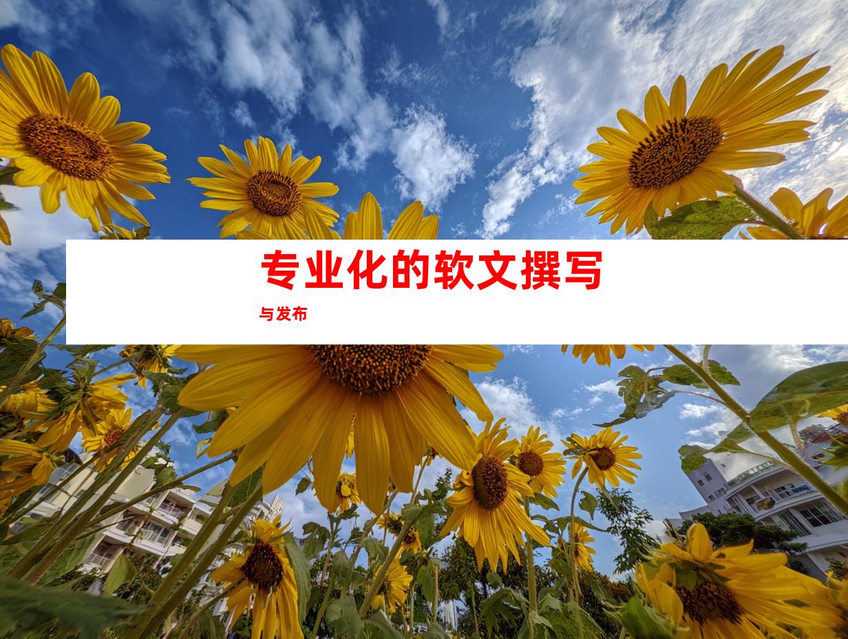 专业化的软文撰写与发布
