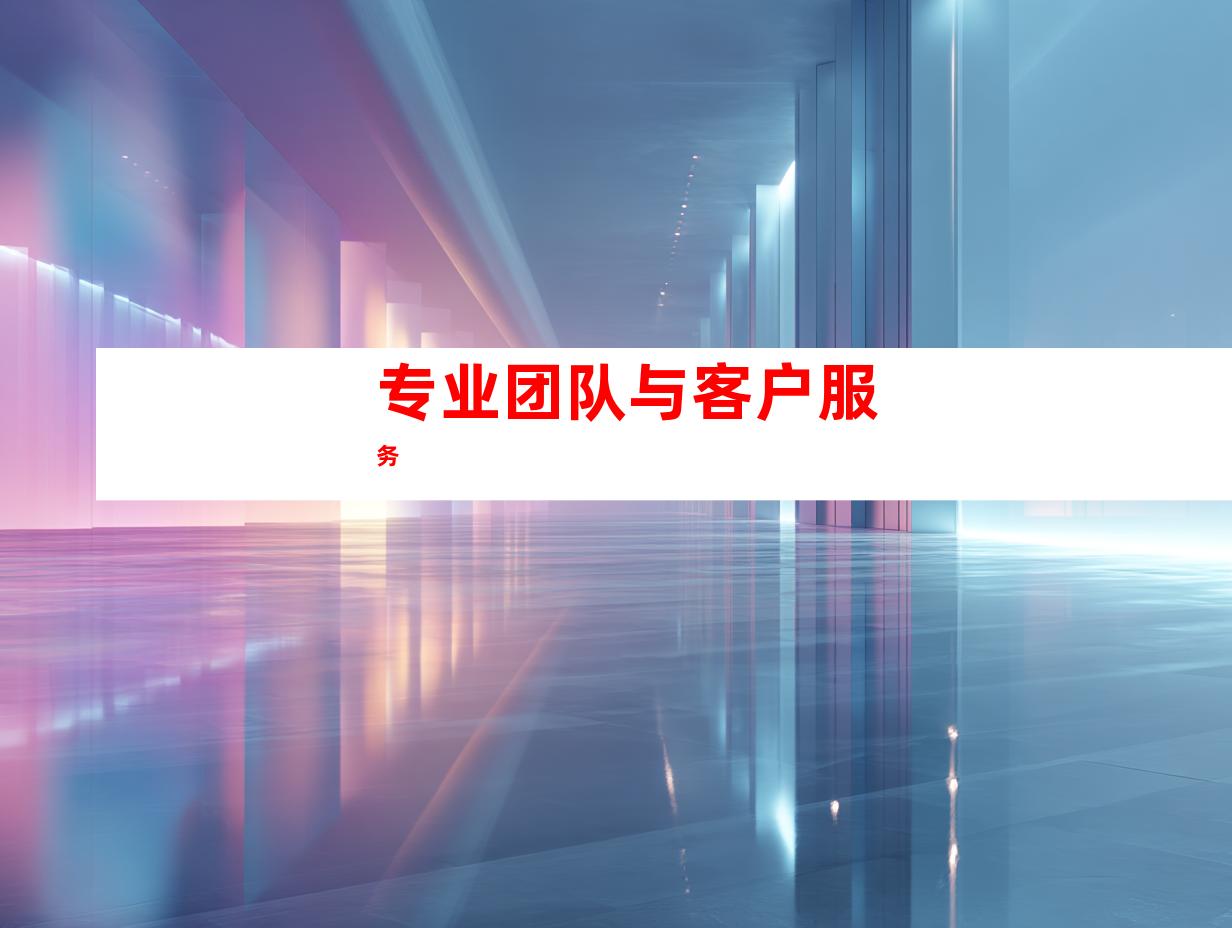 专业团队与客户服务