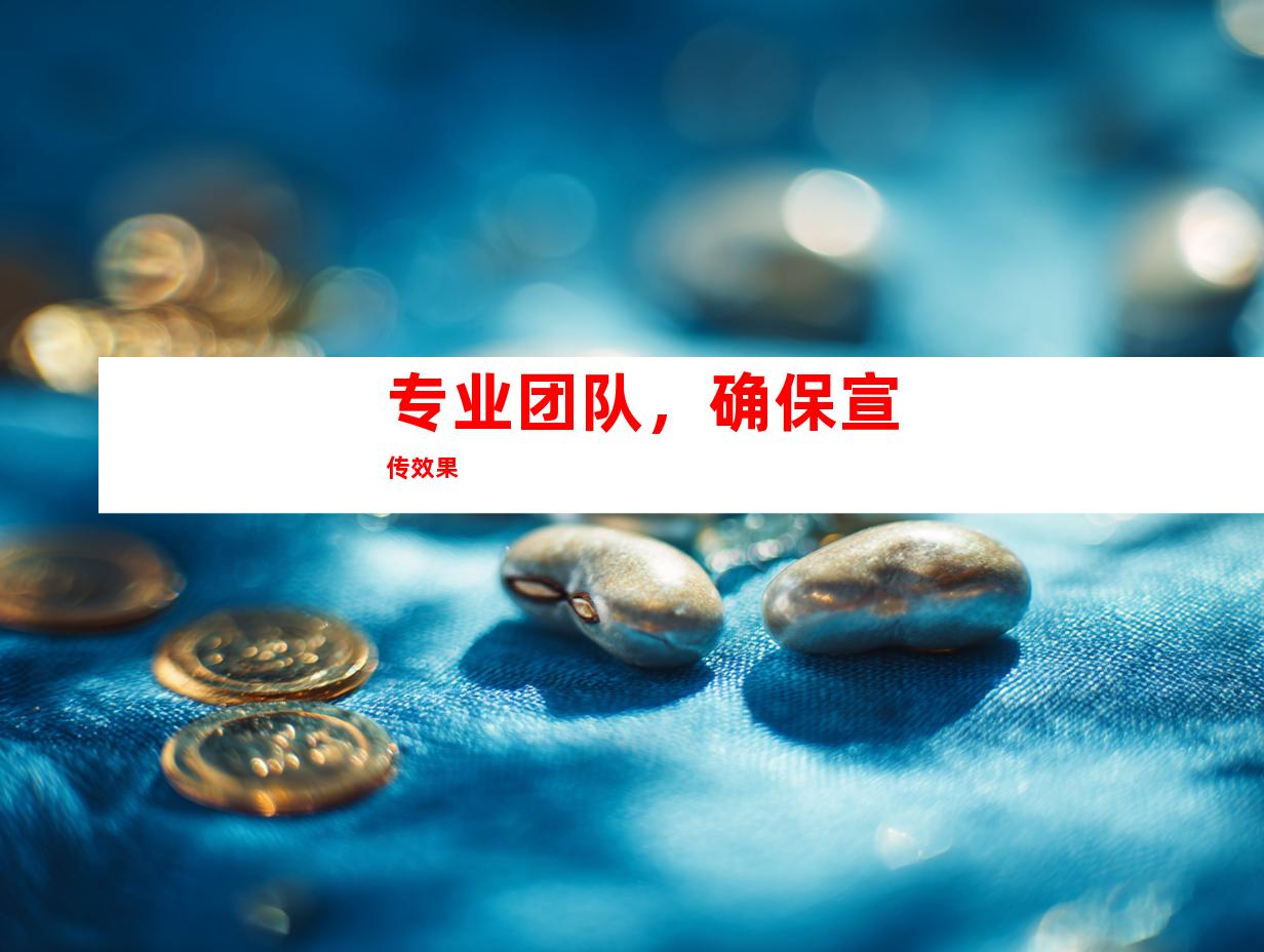 专业团队，确保宣传效果
