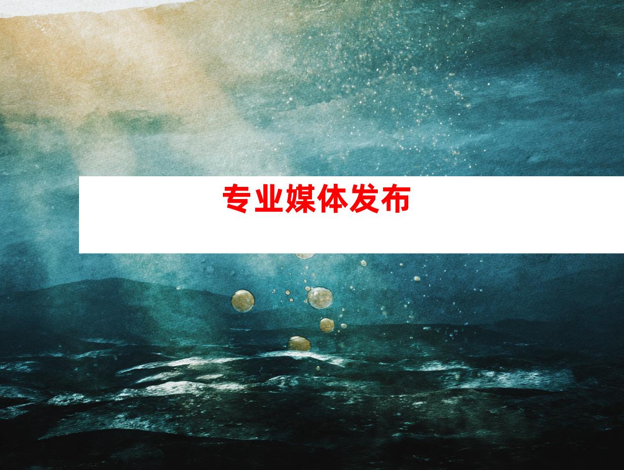 专业媒体发布