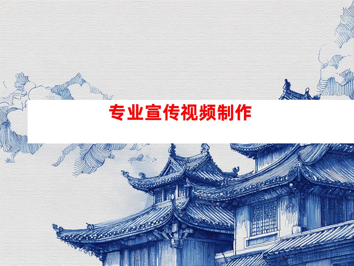 专业宣传视频制作