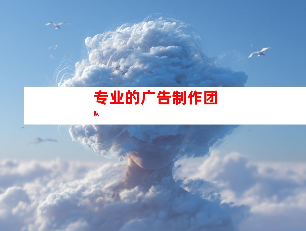 专业的广告制作团队