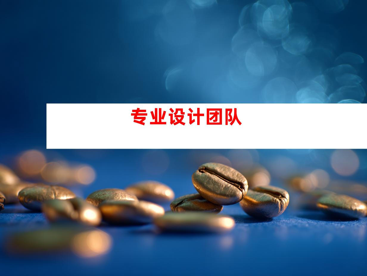 专业设计团队