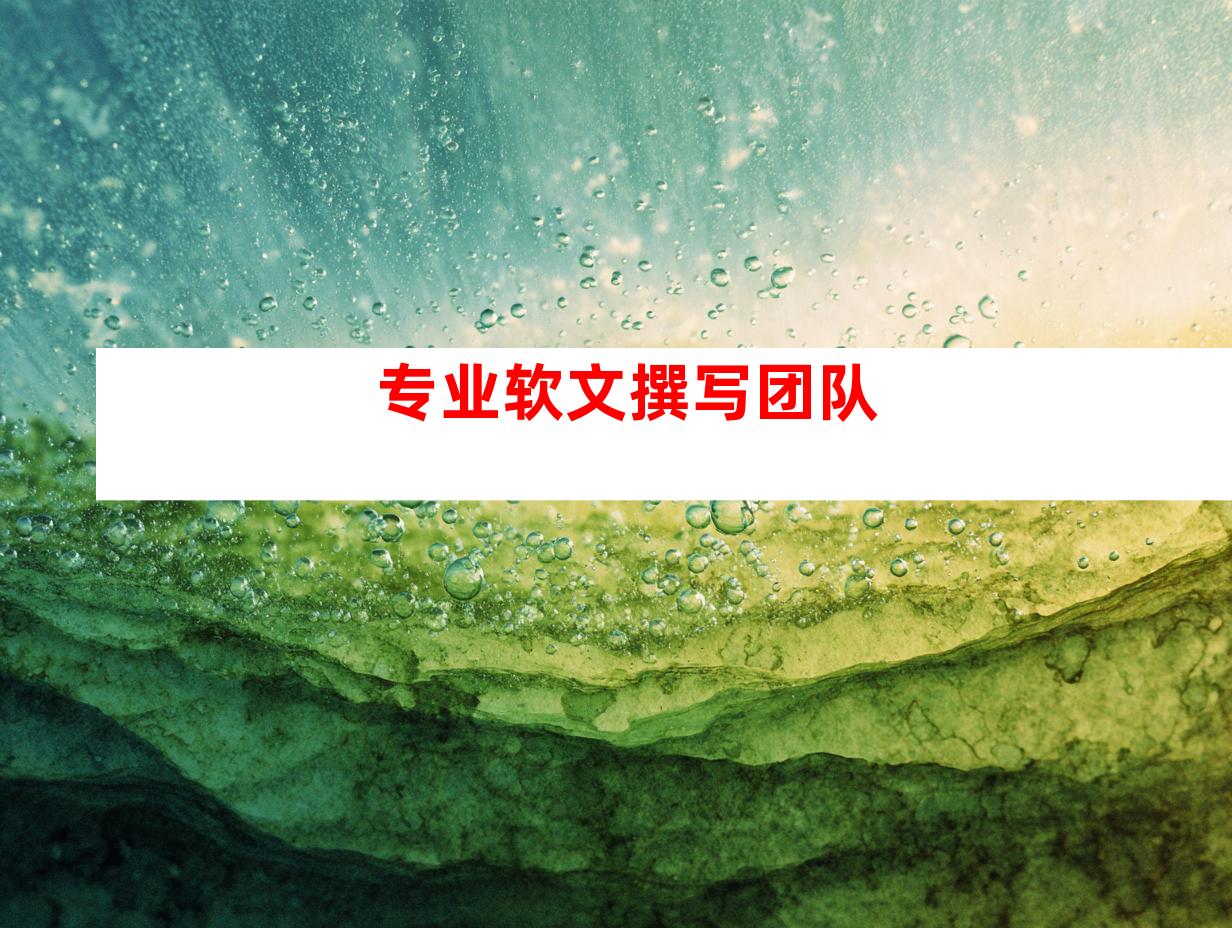 专业软文撰写团队