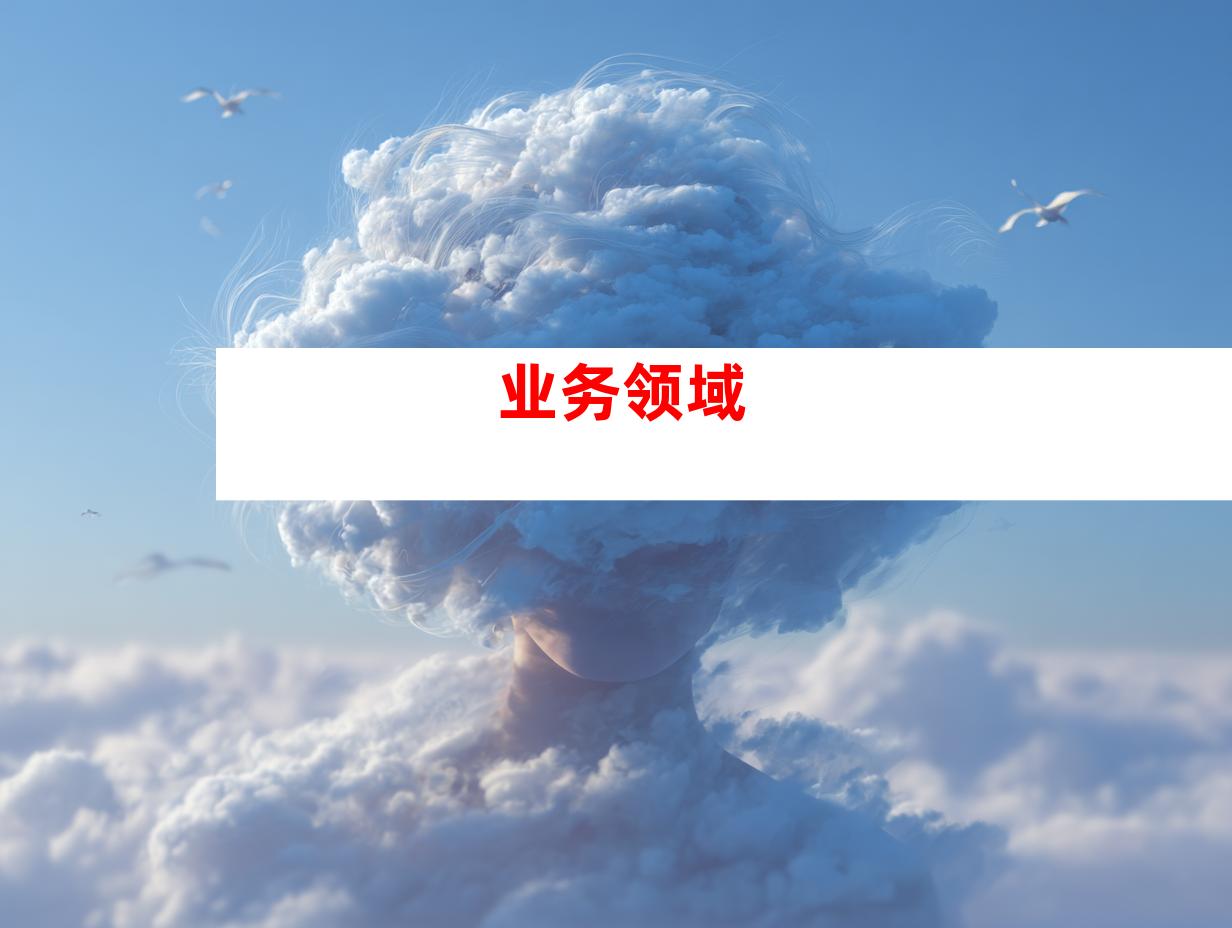 业务领域