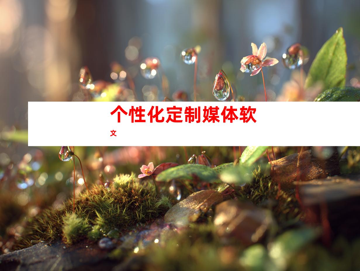 个性化定制媒体软文