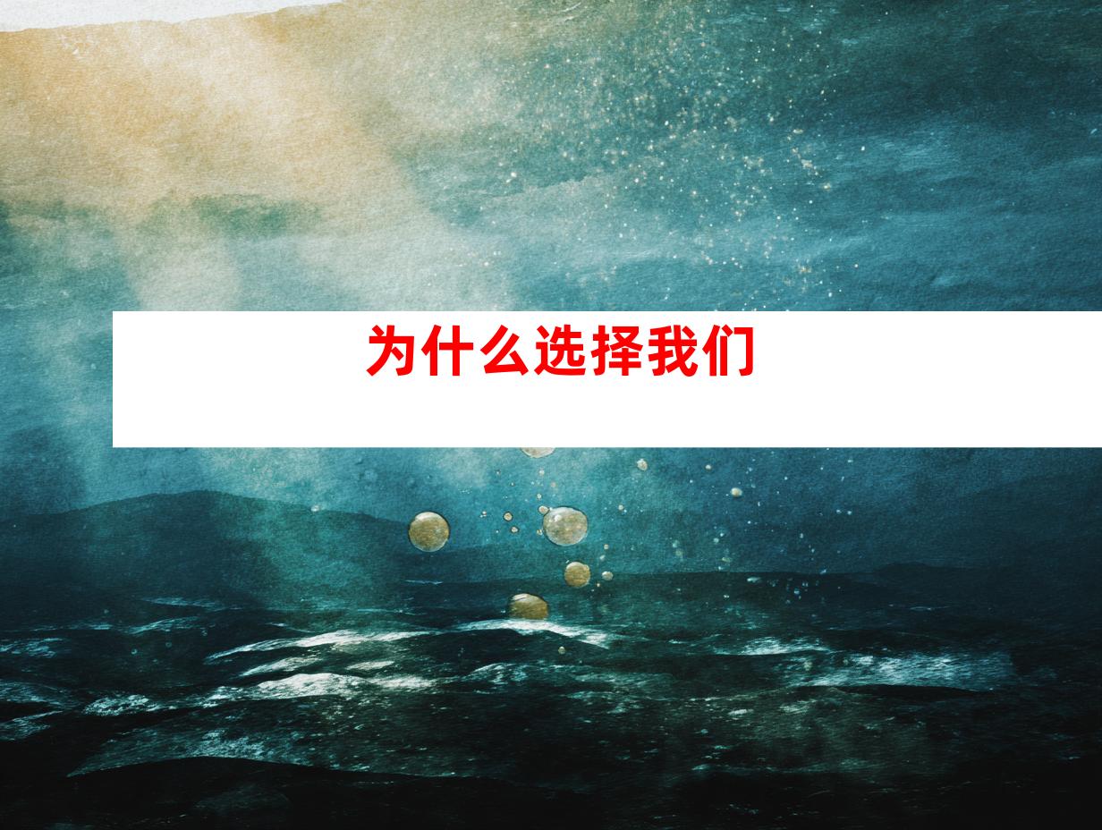 为什么选择我们