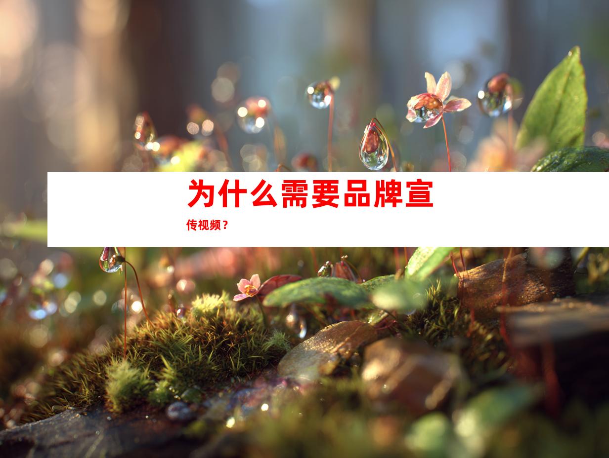 为什么需要品牌宣传视频？