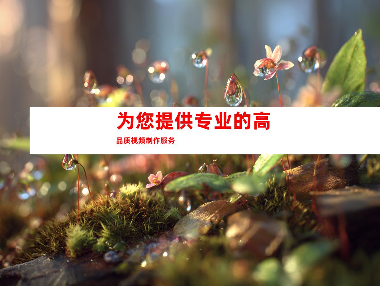 为您提供专业的高品质视频制作服务