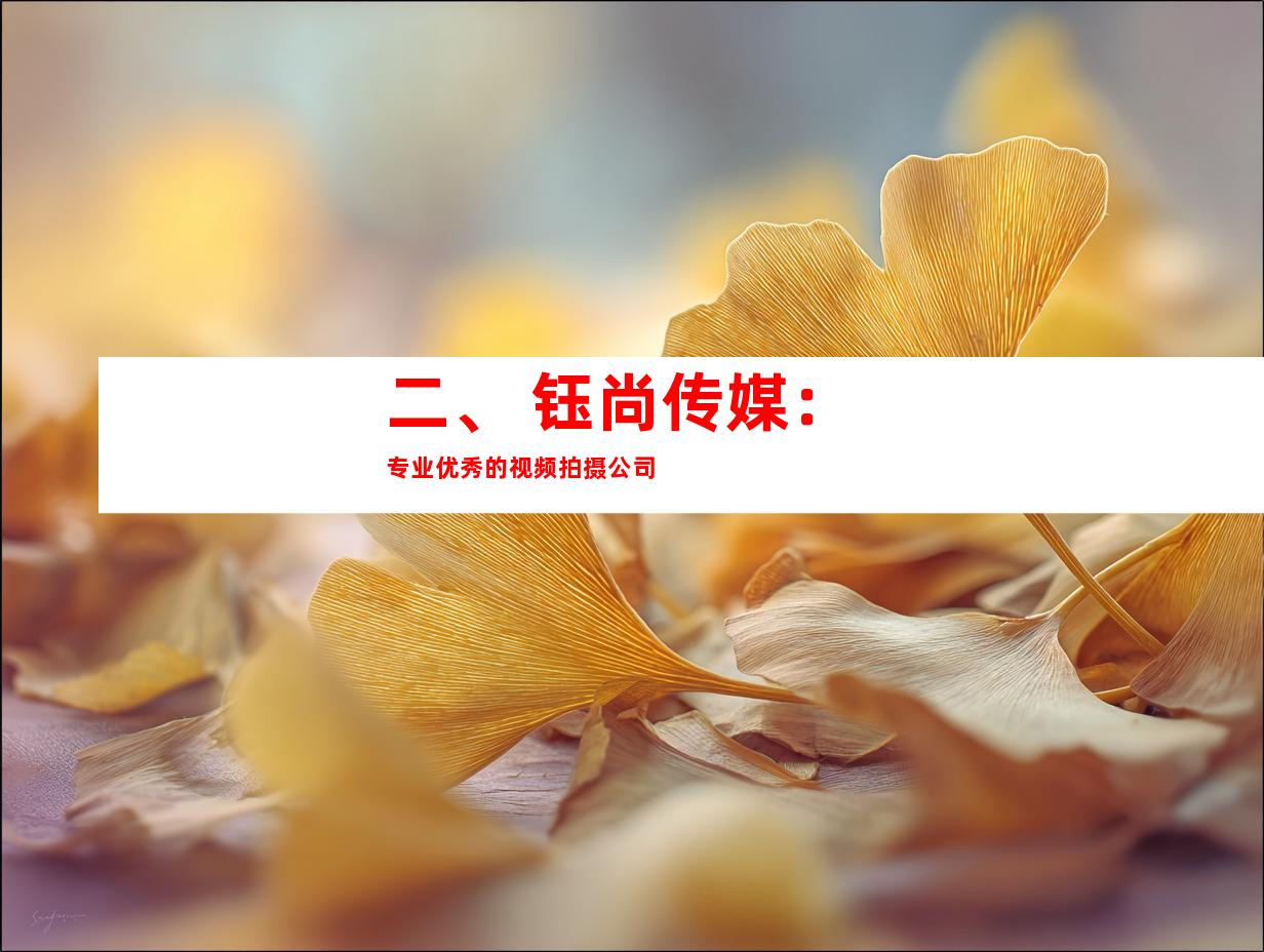 二、 钰尚传媒：专业优秀的视频拍摄公司