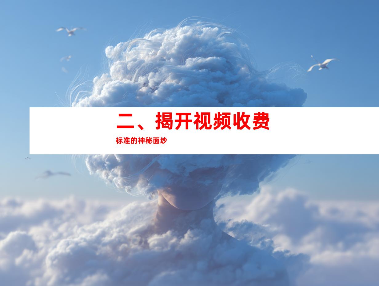 二、揭开视频收费标准的神秘面纱