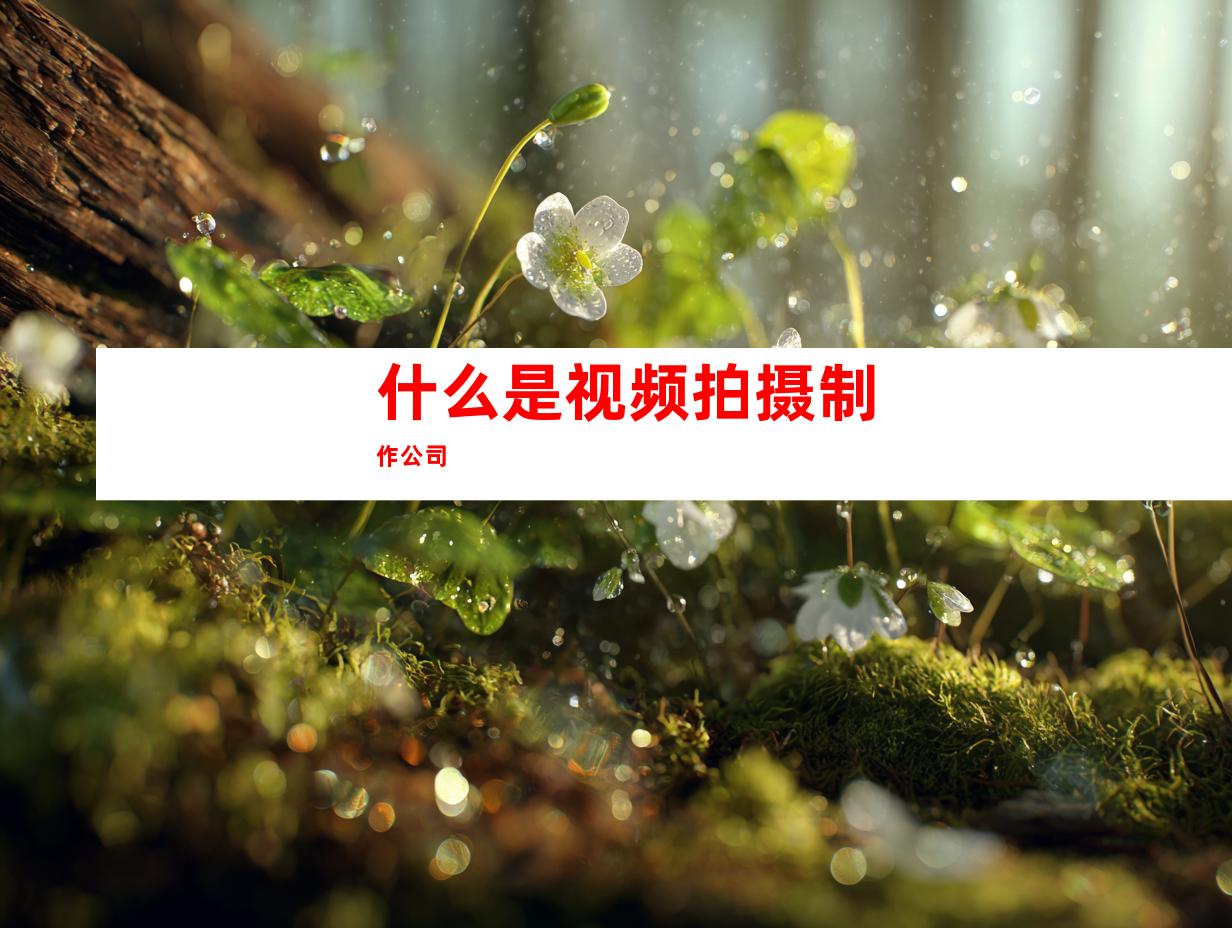 什么是视频拍摄制作公司