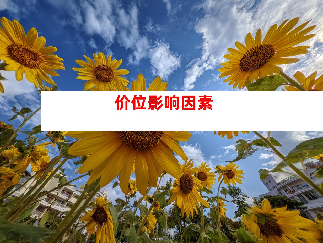价位影响因素