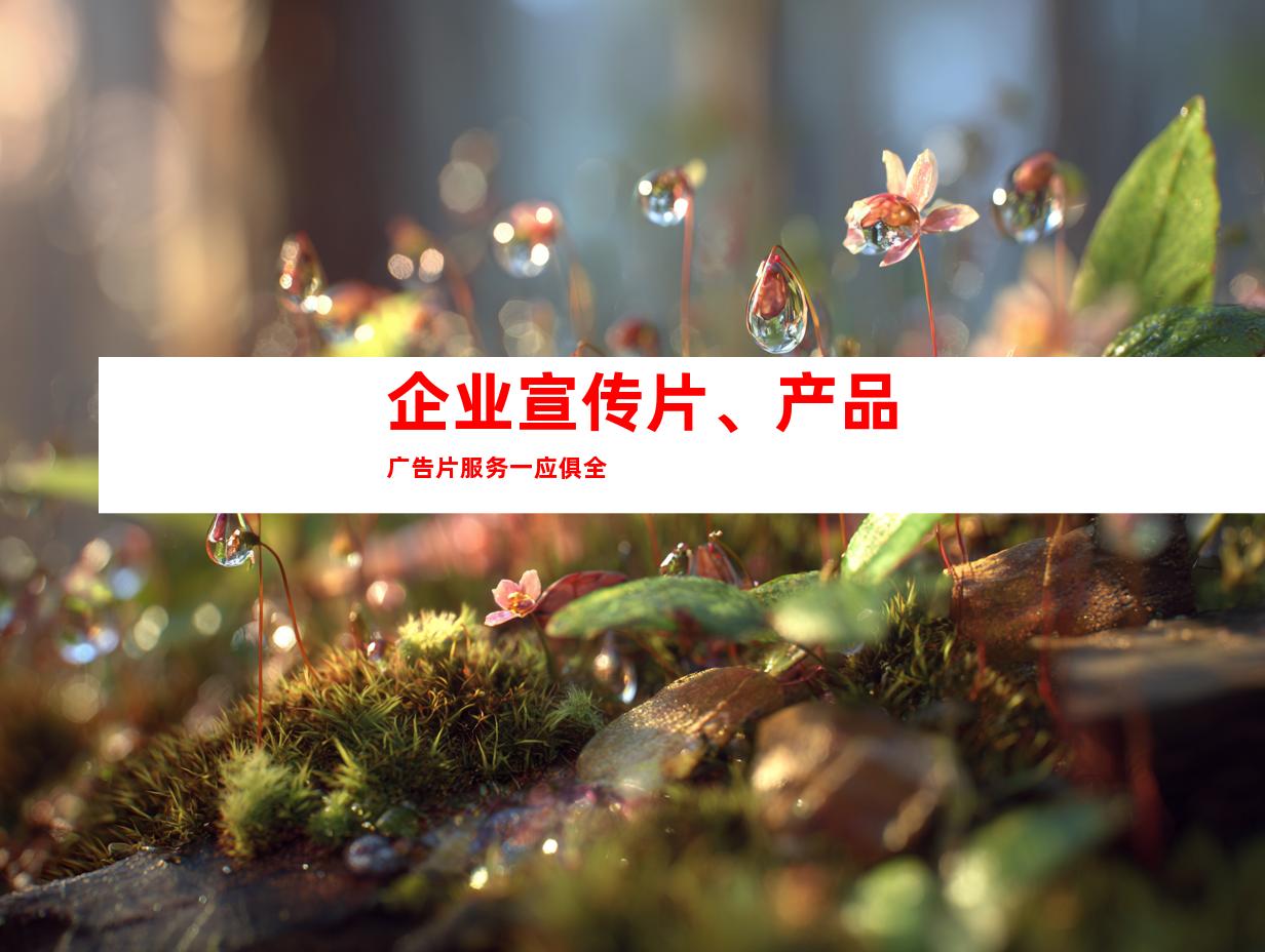 企业宣传片、产品广告片服务一应俱全