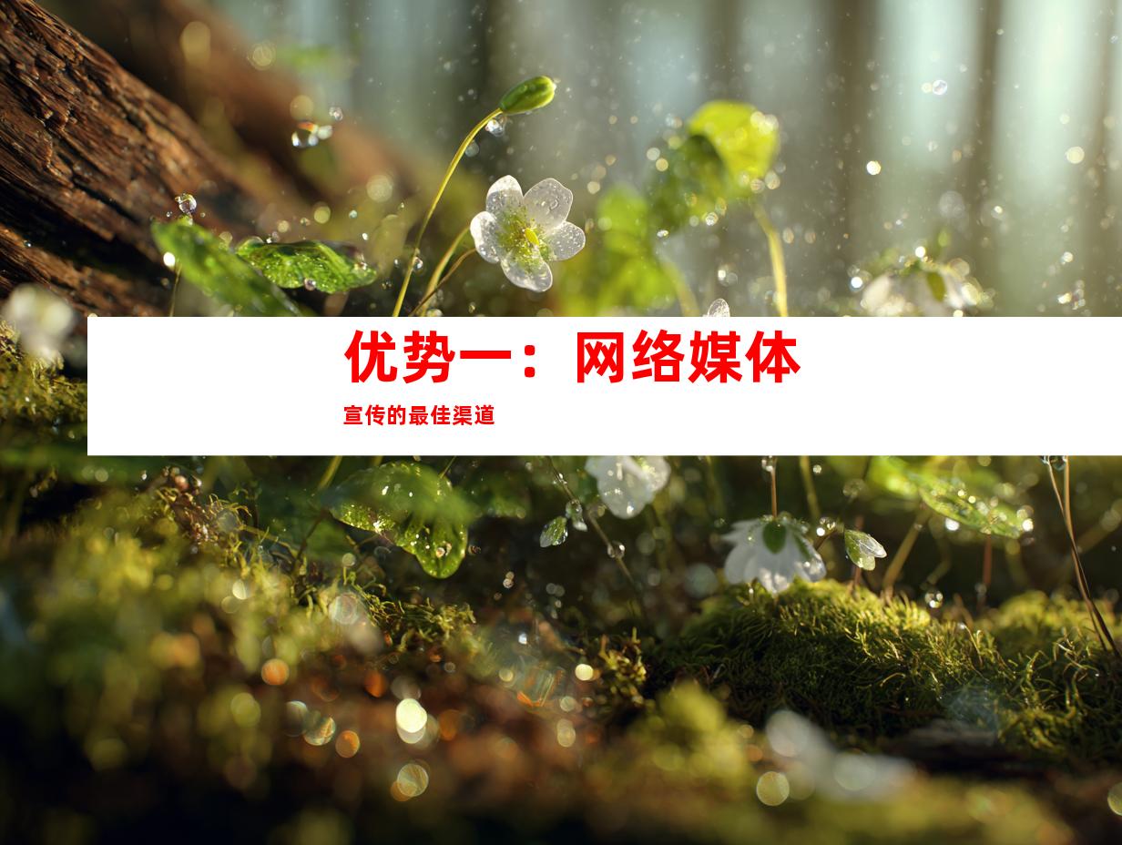 优势一：网络媒体宣传的最佳渠道