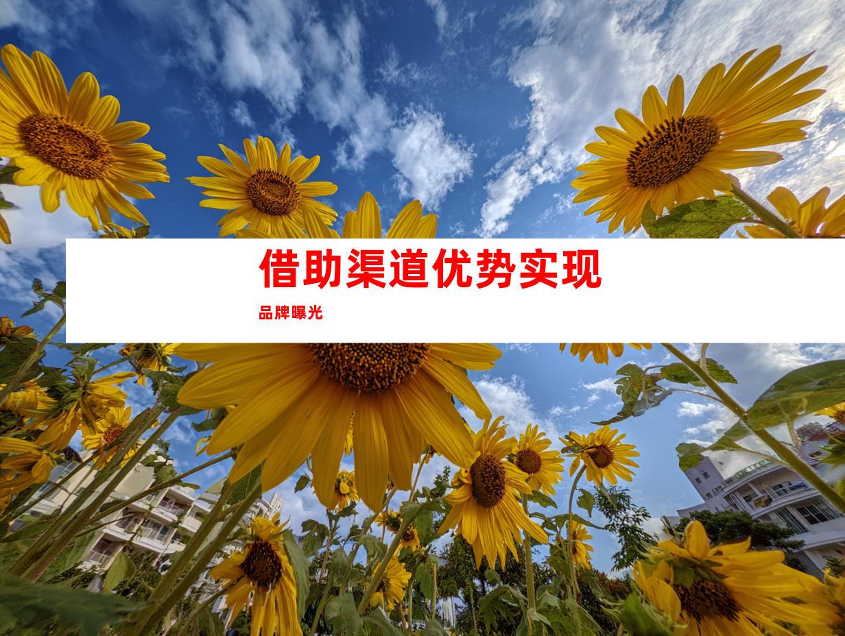 借助渠道优势实现品牌曝光