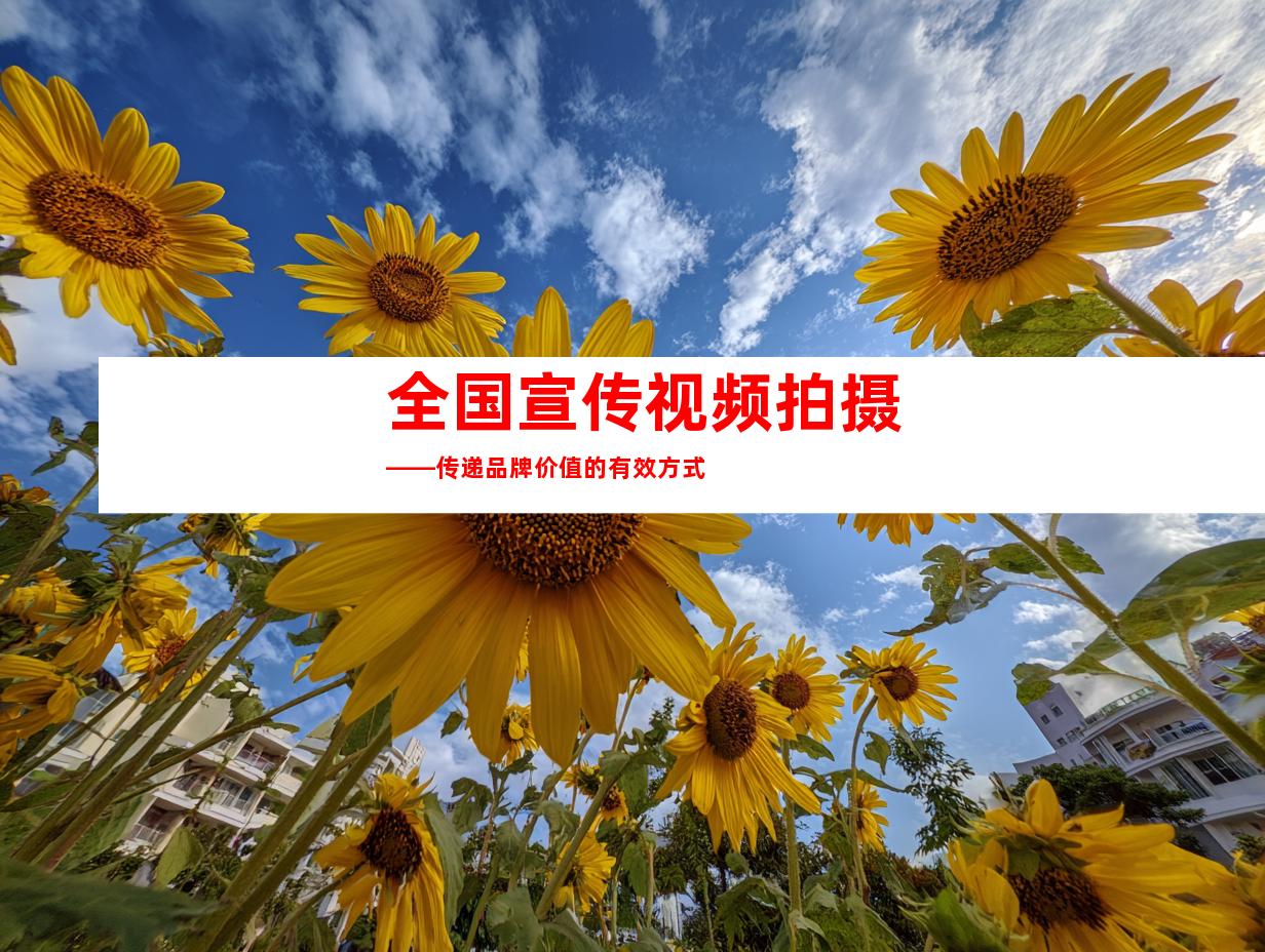 全国宣传视频拍摄——传递品牌价值的有效方式