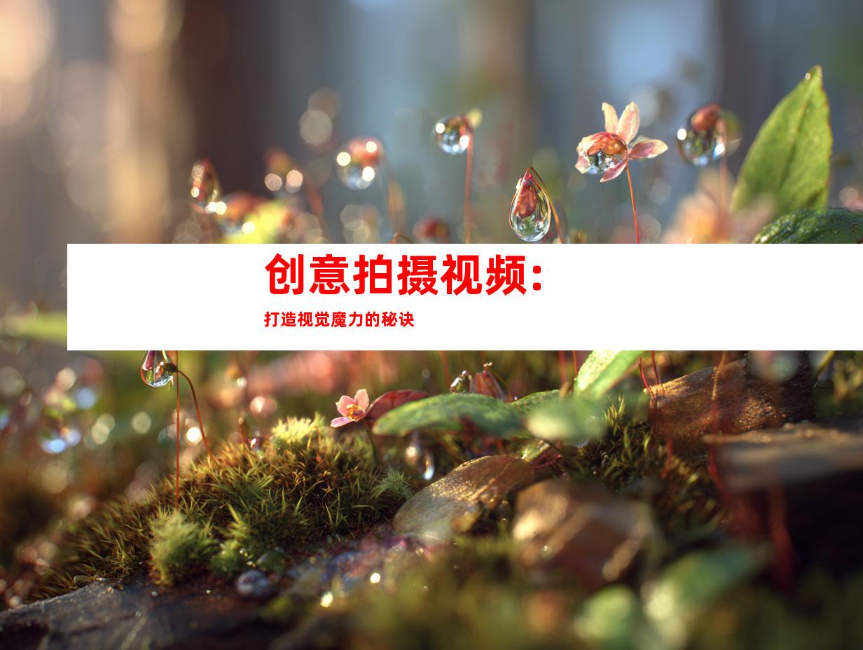 创意拍摄视频: 打造视觉魔力的秘诀