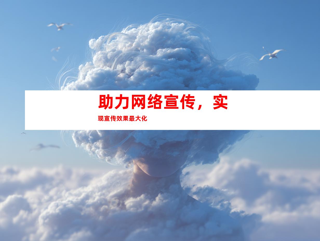 助力网络宣传，实现宣传效果最大化