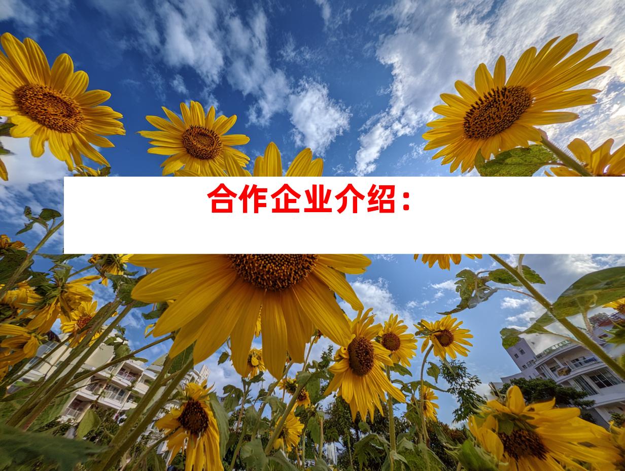 合作企业介绍：