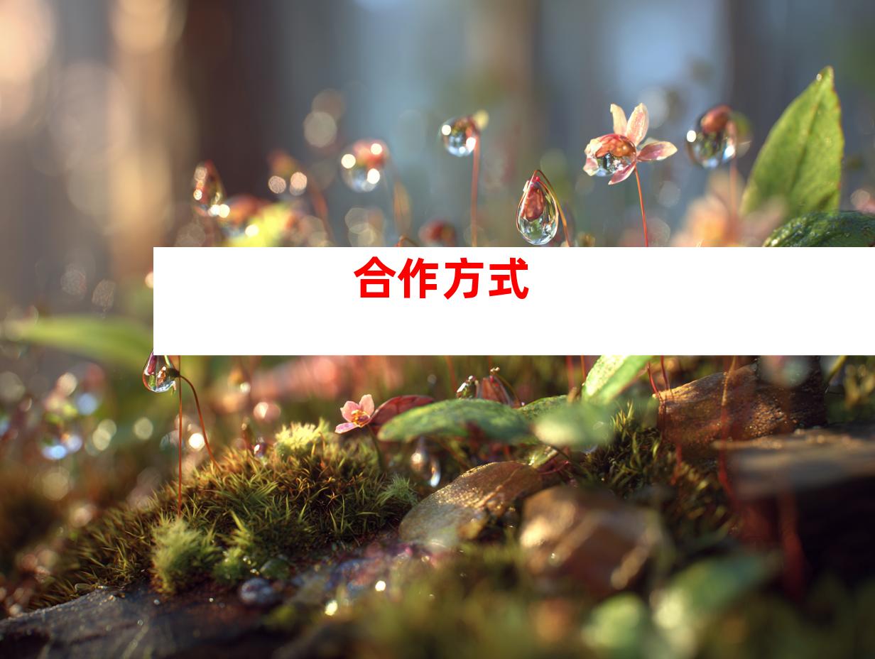合作方式