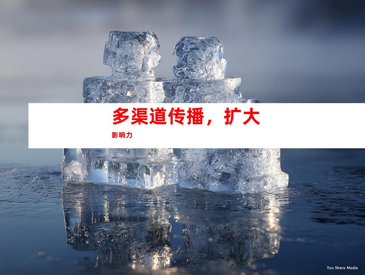 多渠道传播，扩大影响力