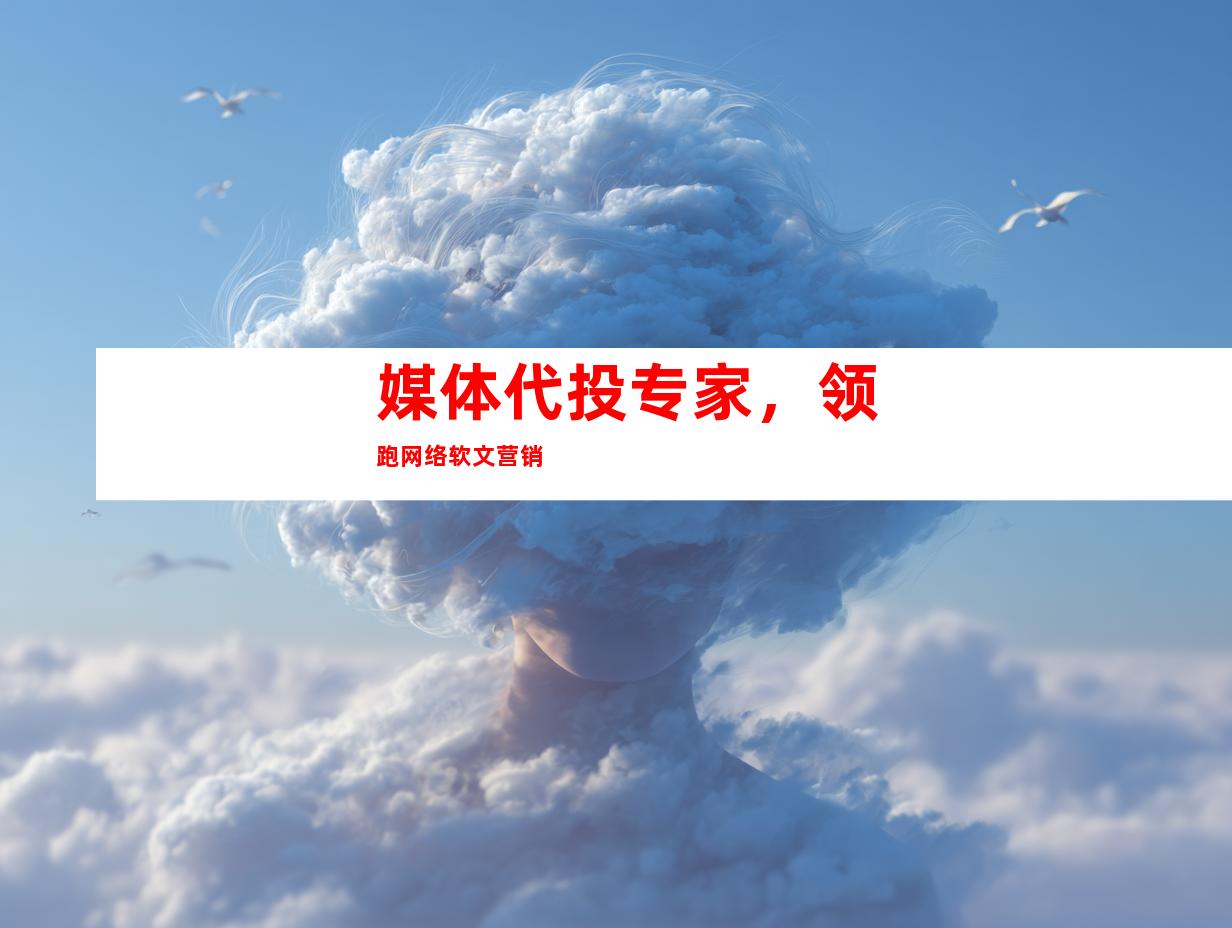 媒体代投专家，领跑网络软文营销