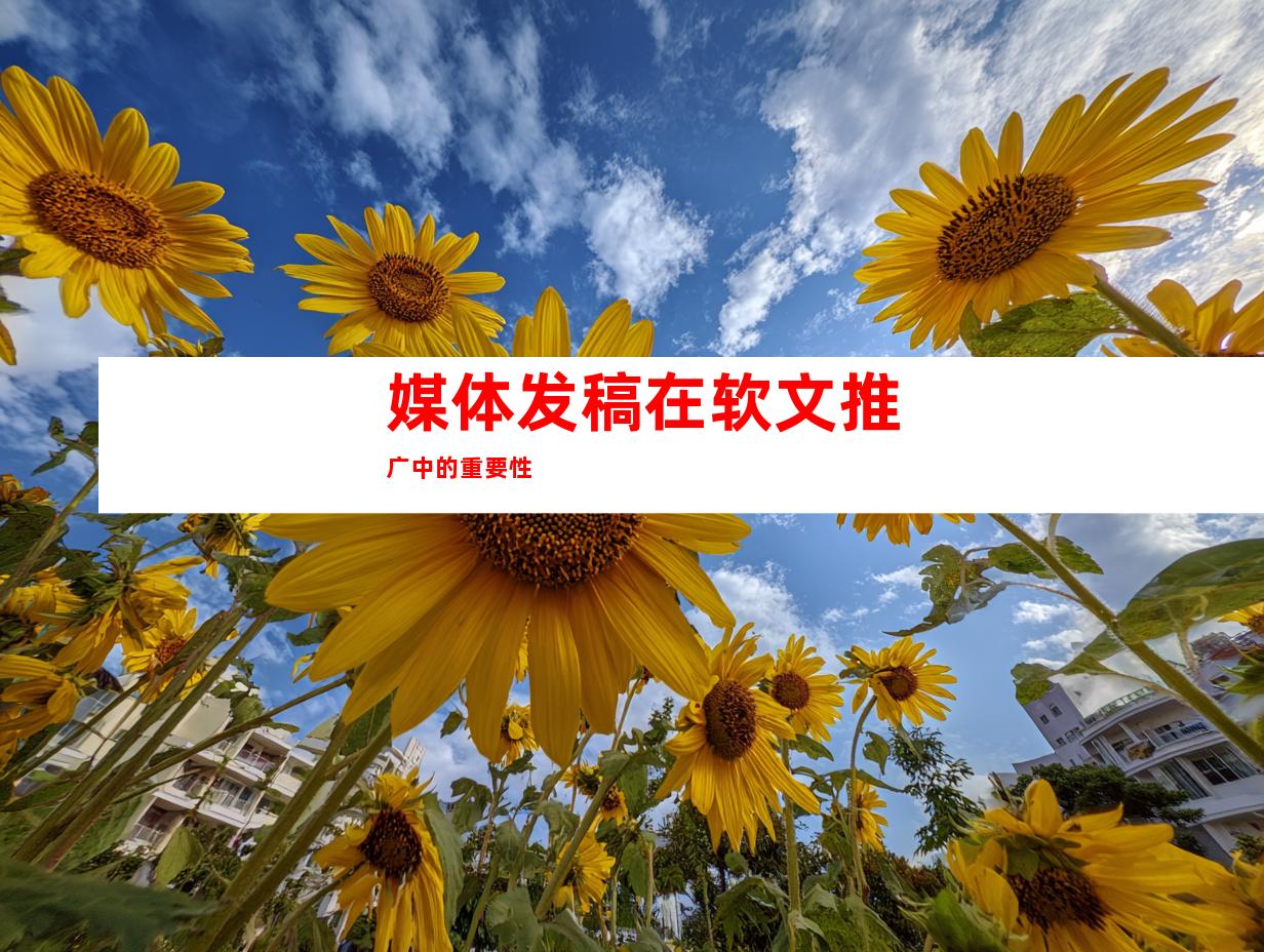 媒体发稿在软文推广中的重要性