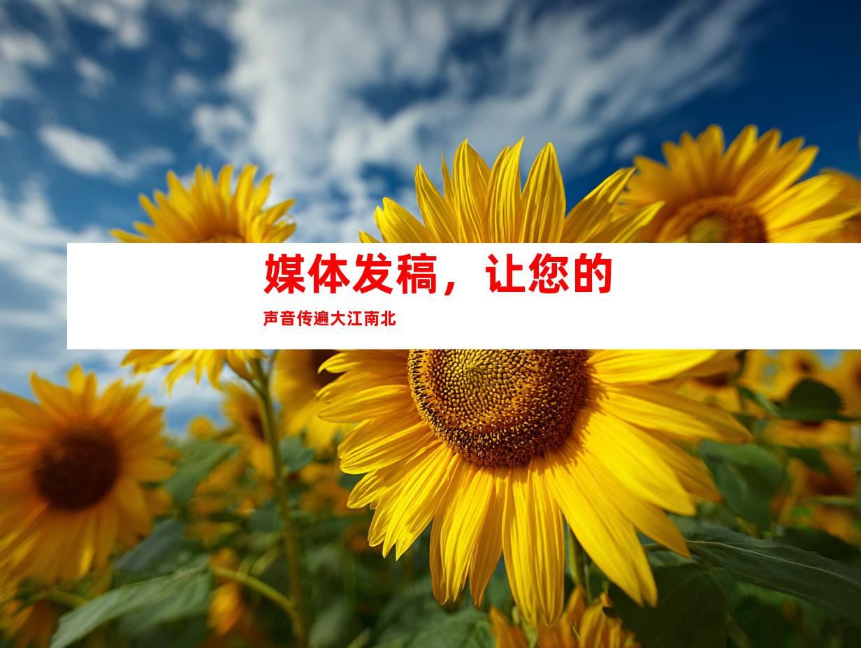 媒体发稿，让您的声音传遍大江南北