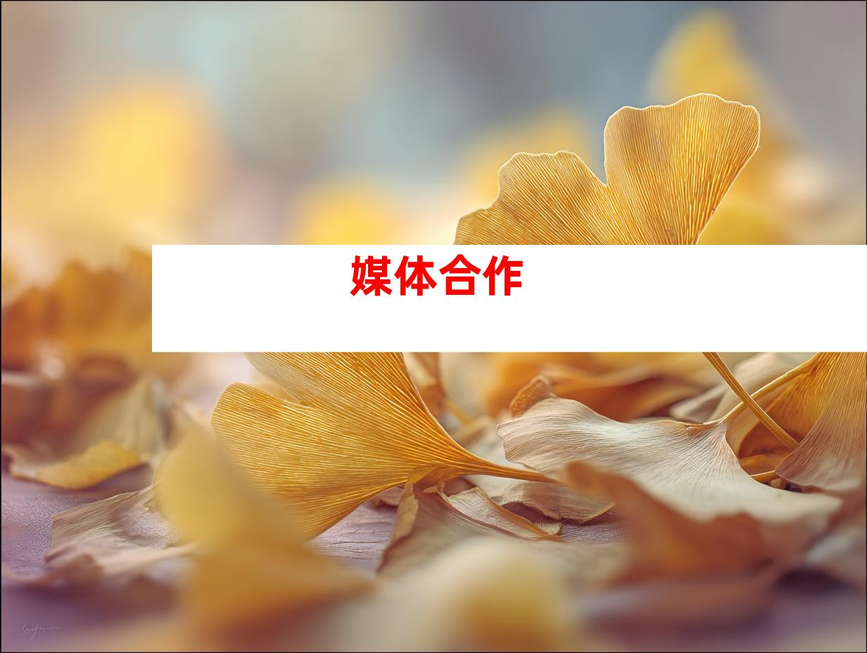 媒体合作