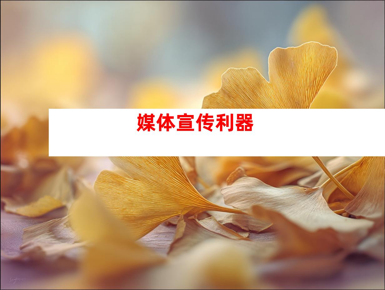 媒体宣传利器