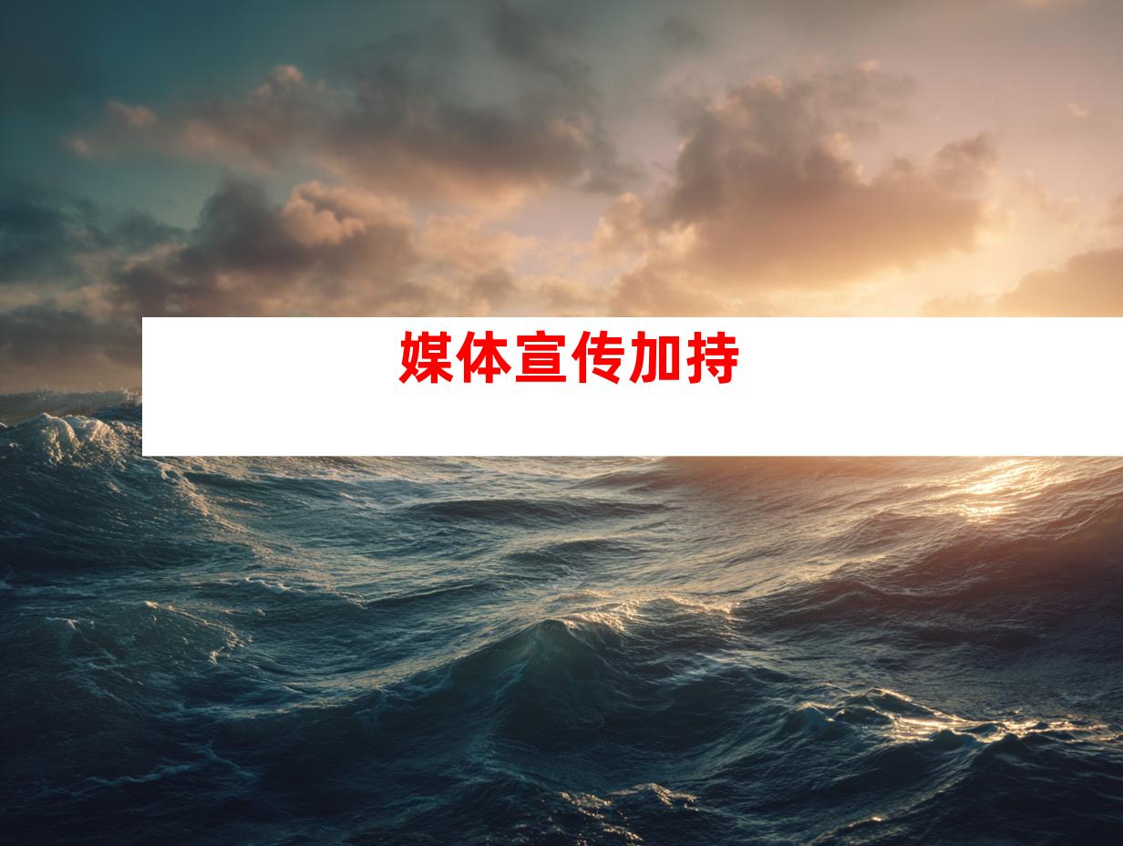 媒体宣传加持