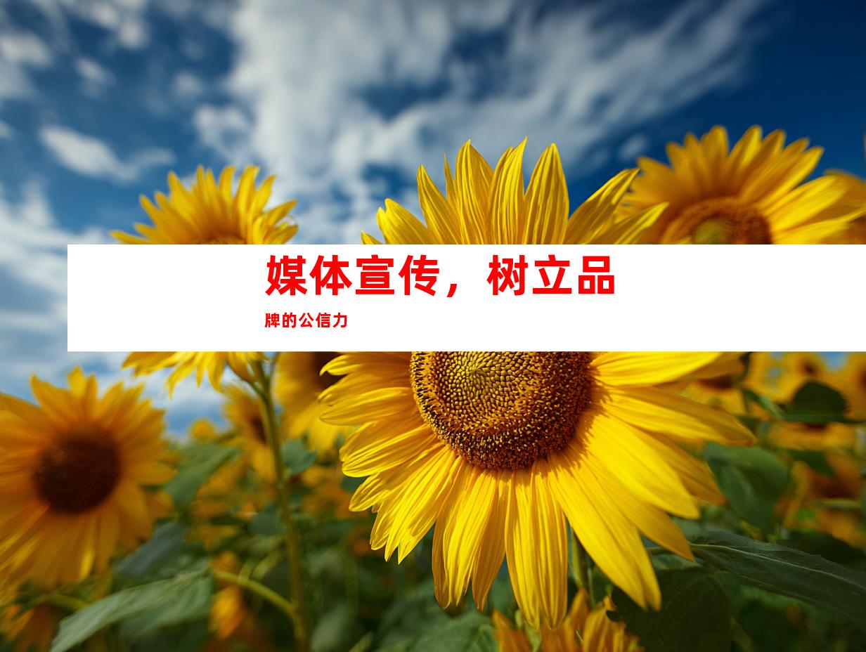 媒体宣传，树立品牌的公信力