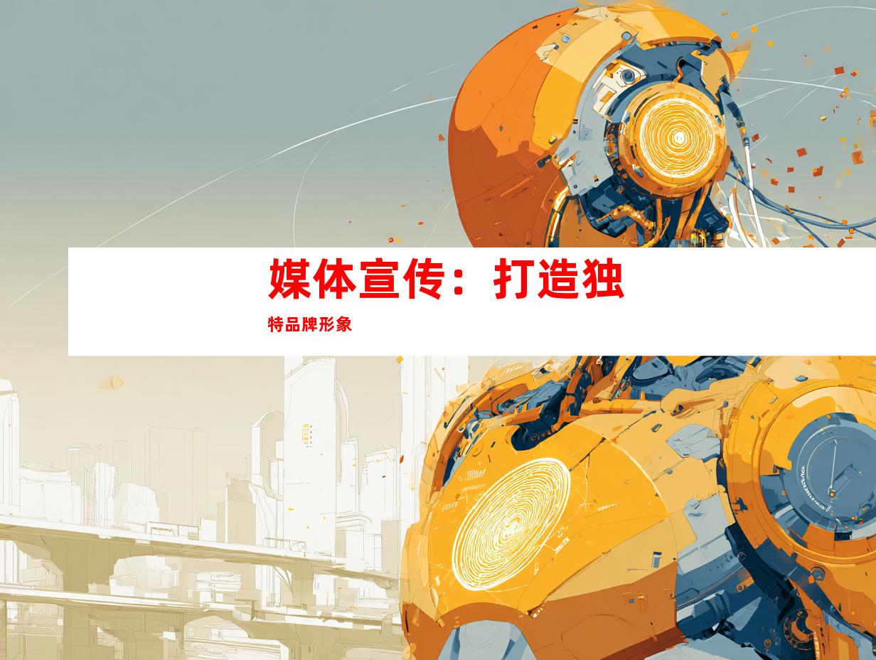 媒体宣传：打造独特品牌形象
