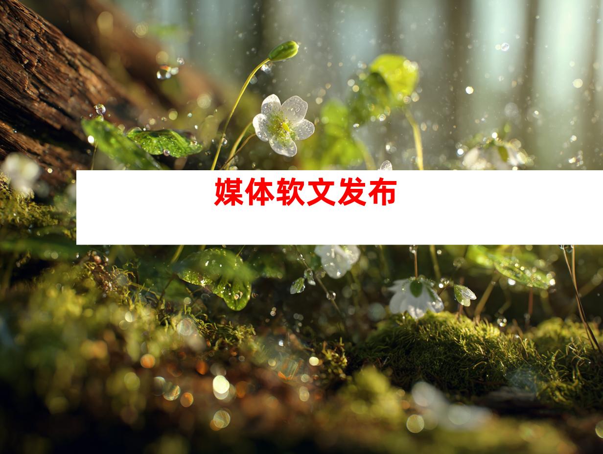 媒体软文发布
