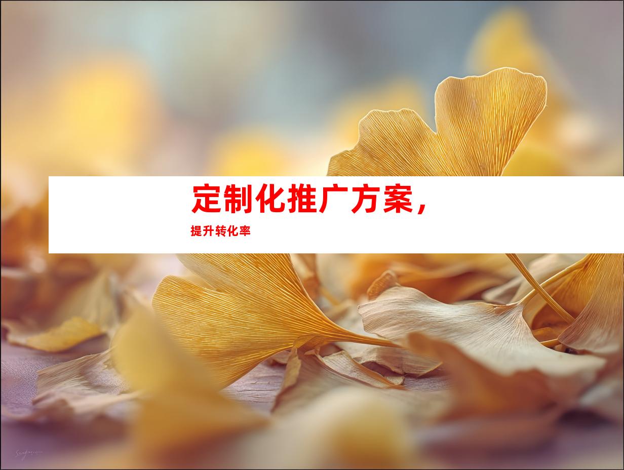 定制化推广方案，提升转化率
