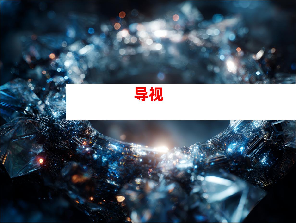 导视