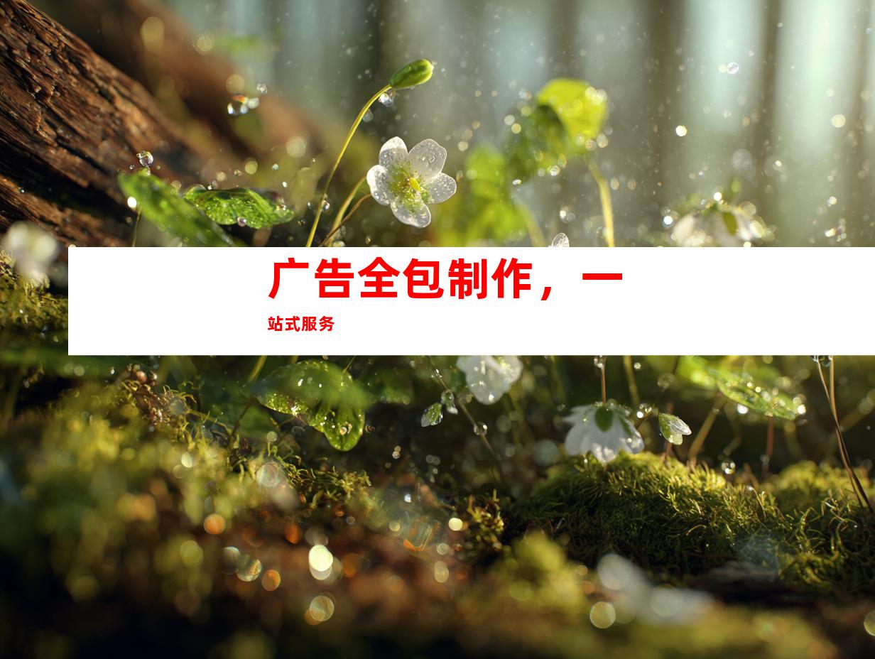 广告全包制作，一站式服务