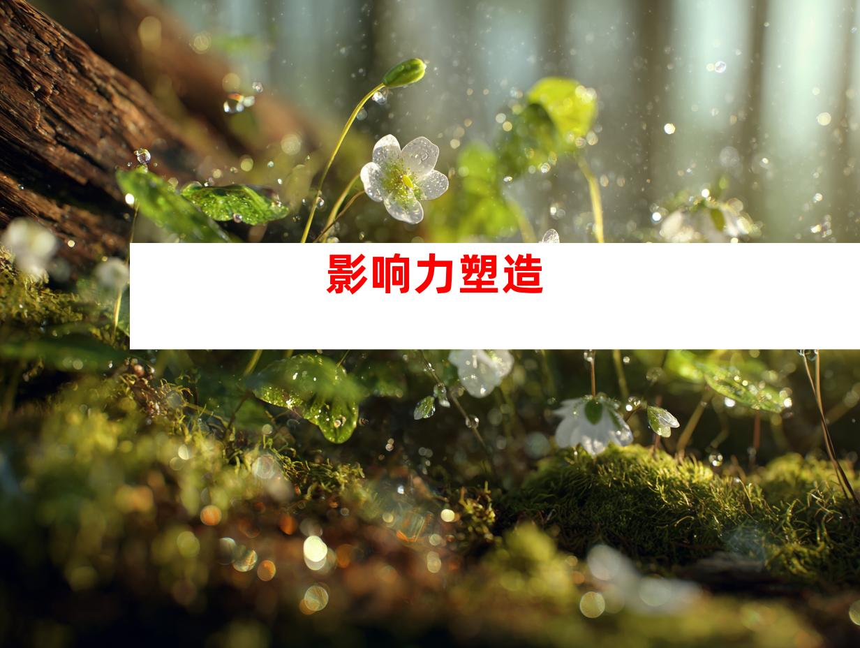 影响力塑造