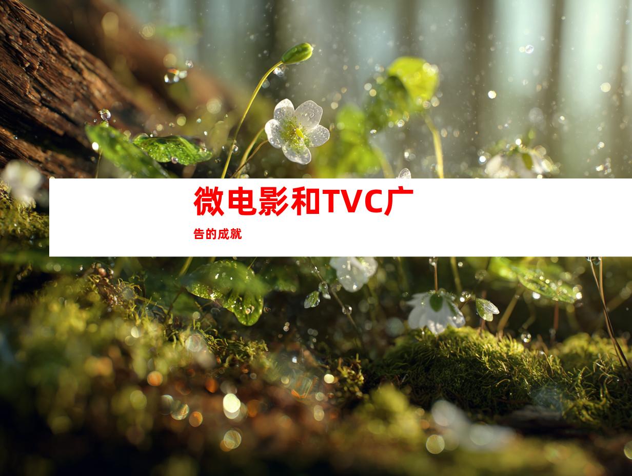 微电影和TVC广告的成就