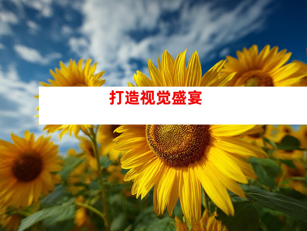 打造视觉盛宴