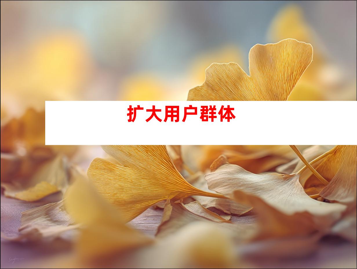 扩大用户群体