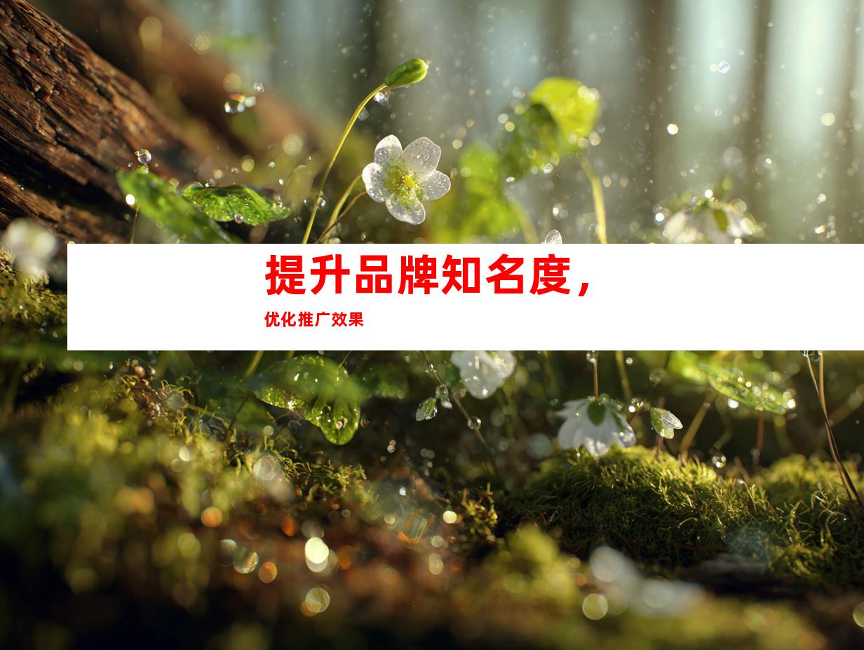 提升品牌知名度，优化推广效果