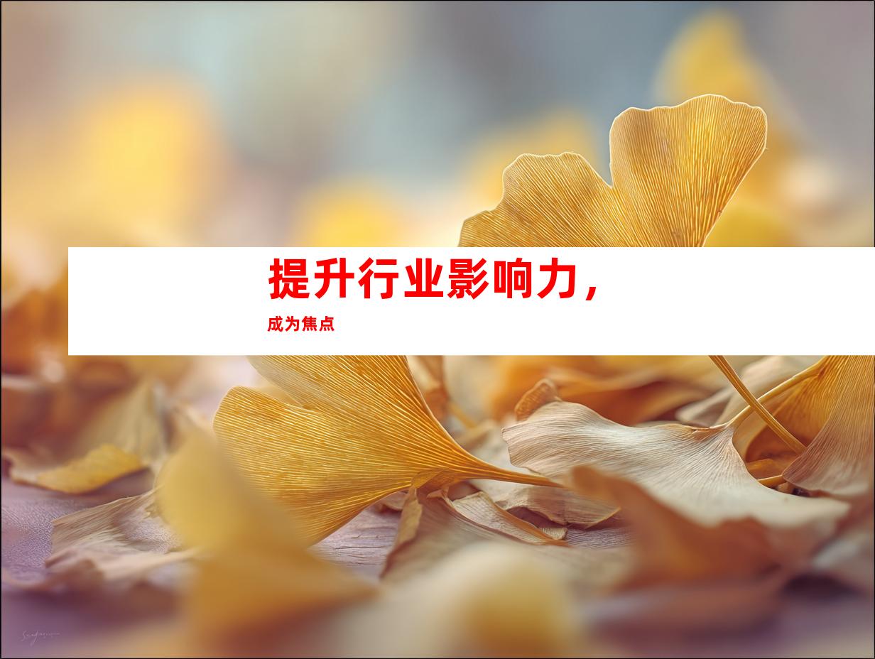 提升行业影响力，成为焦点