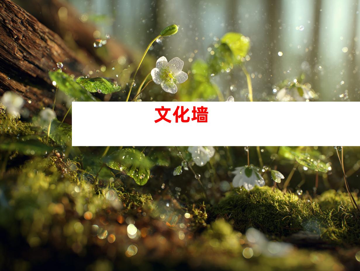 文化墙